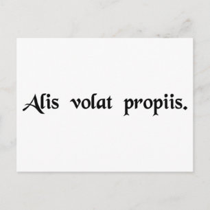 Ze vliegt met haar eigen vleugels briefkaart