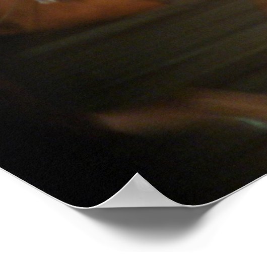 Ze vliegt. poster (Hoek)