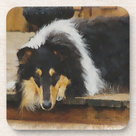 Ze wacht op Tri Color Collie Bier Onderzetter