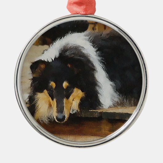 Ze wacht op Tri Color Collie Metalen Ornament (Voorkant)