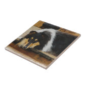 Ze wacht op Tri Color Collie Tegeltje (Zijkant)