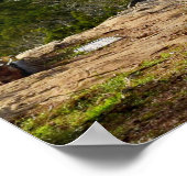 Ze wachten op het Lord Poster Jeremiah 29:11 (Hoek)