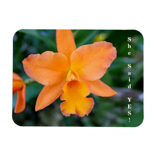 Ze zei ja Verloving Magnet Magneet (Horizontaal)