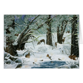 Ze zeiden dat het niet zou sneeuwen