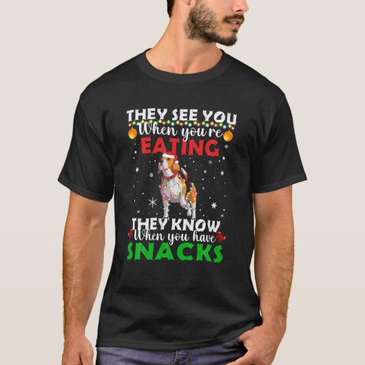 Ze zien dat je kerstrenrendierSanta Beagl eet T-shirt (Voorkant)