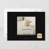 Ze zullen me hier nooit vinden briefkaart (Voorkant / Achterkant)