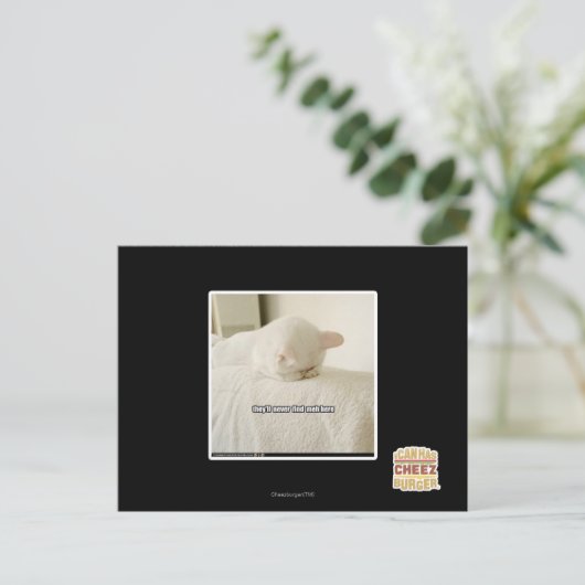 Ze zullen me hier nooit vinden briefkaart (Staand voorkant)