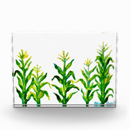 Zea mays fotoblokken (Voorkant)