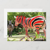 Zebhuh? door JLH Briefkaart (Voorkant / Achterkant)