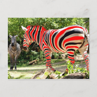 Zebhuh? door JLH Briefkaart