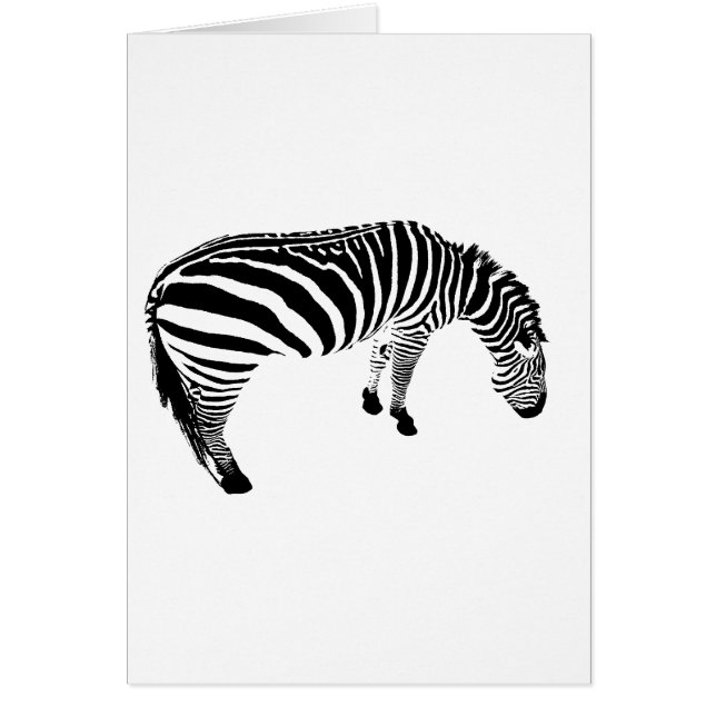 zebra (Voorkant)
