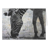 Zebra (Voorkant Horizontaal)