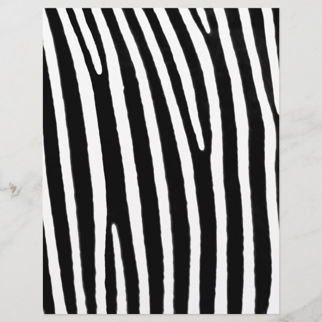 Zebra (Voorkant)