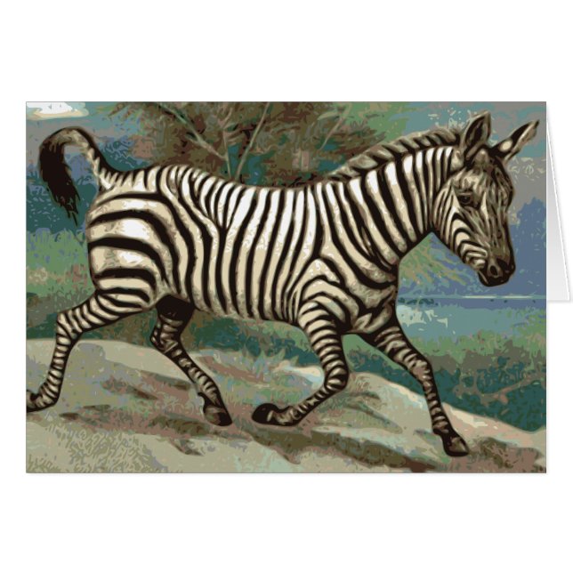 Zebra (Voorkant Horizontaal)