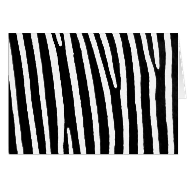 Zebra (Voorkant Horizontaal)