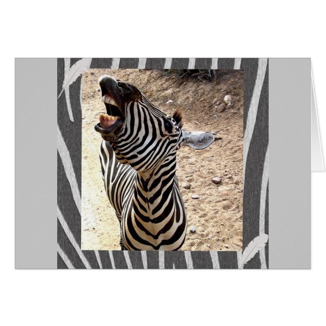 Zebra (Voorkant Horizontaal)