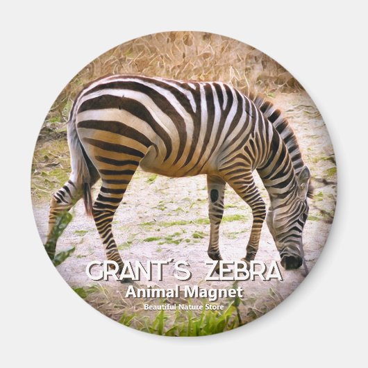 Zebra グ ネ ッ ト magneet (Voorkant)