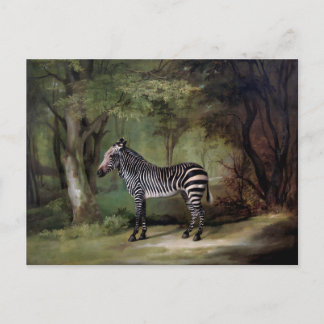Zebra (1763) schilderij briefkaart