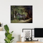Zebra (1763) schilderij poster (Thuiskantoor)