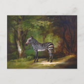 Zebra (1763) schilderij van George Stubbs Briefkaart (Voorkant)