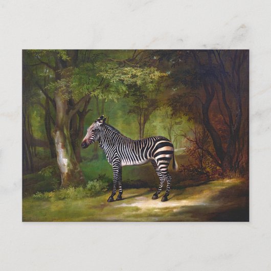 Zebra (1763) schilderij van George Stubbs Briefkaart (Voorkant)