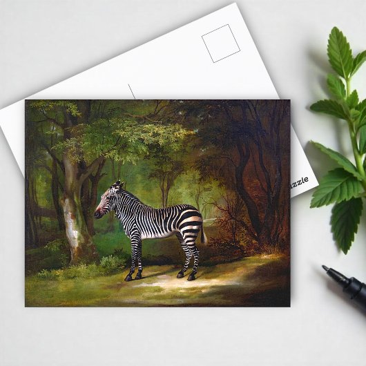 Zebra (1763) schilderij van George Stubbs Briefkaart