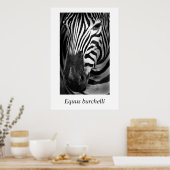 Zebra #1 Equus burchelli Poster (Keuken)
