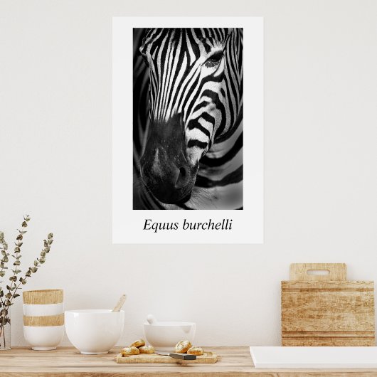 Zebra #1 Equus burchelli Poster (Keuken)