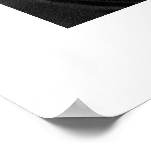 Zebra #1 poster (Hoek)