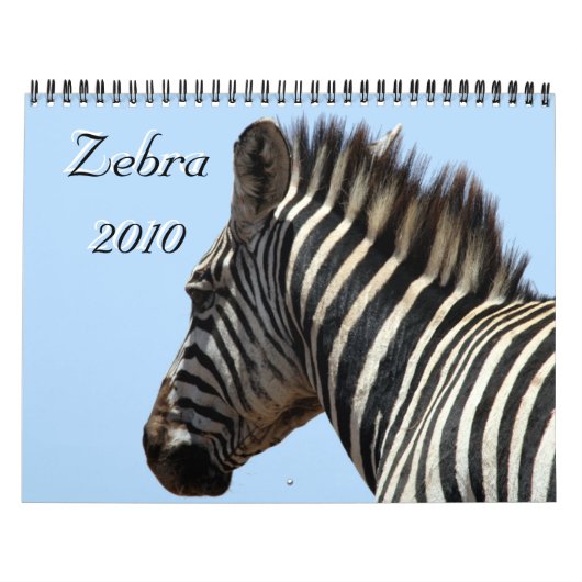 zebra 2010 kalender (Hoes)