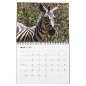 zebra 2011 kalender (Mar 2027)