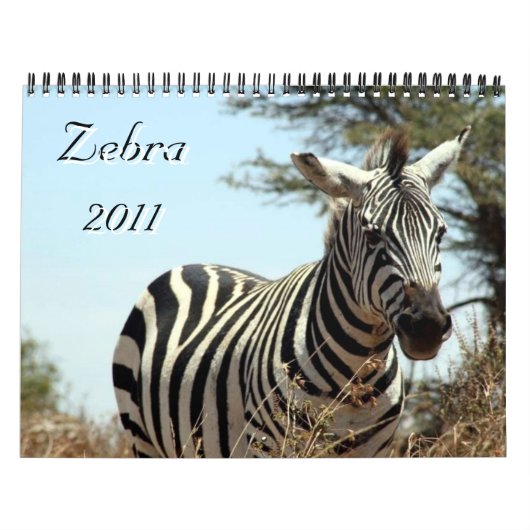 zebra 2011 kalender (Hoes)