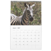 zebra 2011 kalender met één bladzijde (Mar 2027)