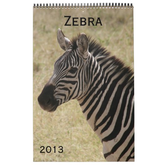 zebra 2013-kalender kalender (Hoes)
