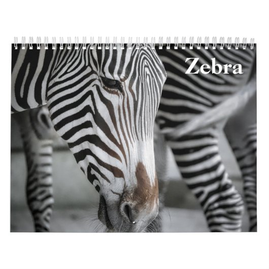 Zebra 2025 kalender (Hoes)