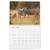 zebra 2025 kalender (Mar 2026)