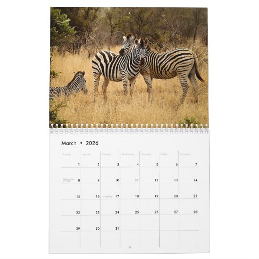 zebra 2025 kalender (Mar 2026)