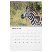 zebra 2025 kalender (Feb 2026)