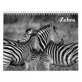 zebra 2025 kalender (Hoes)