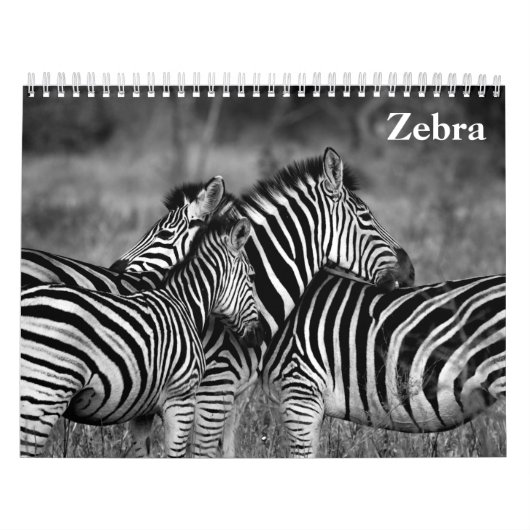 zebra 2025 kalender (Hoes)