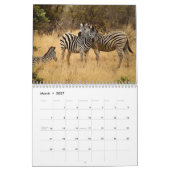 zebra 2025 kalender (Mar 2027)