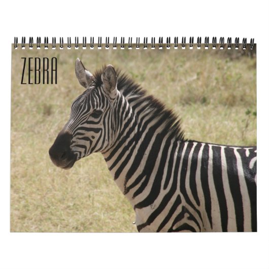 zebra 2025 kalender (Hoes)