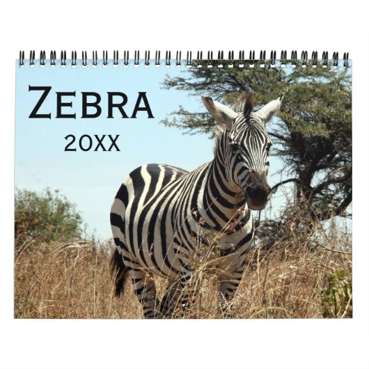 zebra 2026 kalender (Hoes)