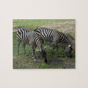 Zebra #2 Jigzaag Puzzle Legpuzzel