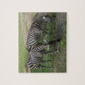 Zebra #2 Jigzaag Puzzle Legpuzzel (Verticaal)