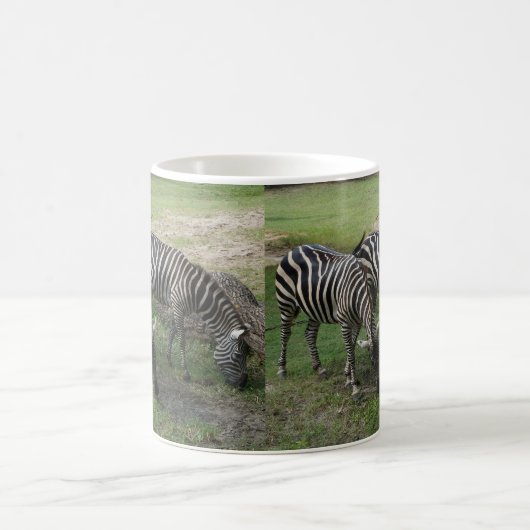 Zebra #2 Mok (Center)