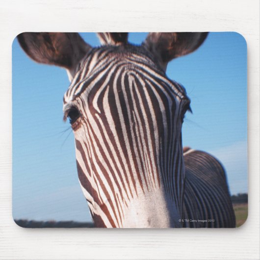ZEBRA 2 MUISMAT (Voorkant)