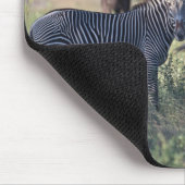 ZEBRA 2 MUISMAT (Hoek)