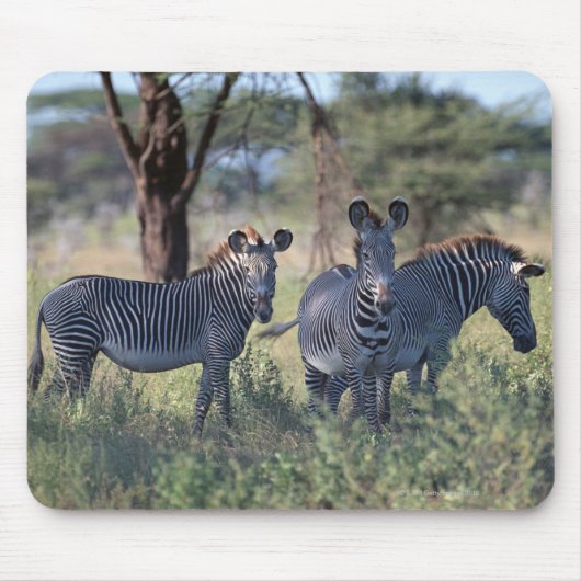 ZEBRA 2 MUISMAT (Voorkant)
