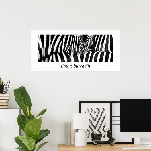 Zebra #2-Poster Poster (Thuiskantoor)